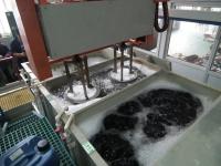 荣耀体育在线登录入口_荣耀（中国）管316l是否要钝化